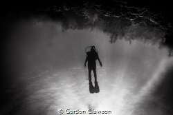 Leaving Hilma Hooker wreck in Bonaire, caught friend's so... by Gordon Clawson 